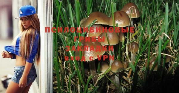 Альфа ПВП Горняк