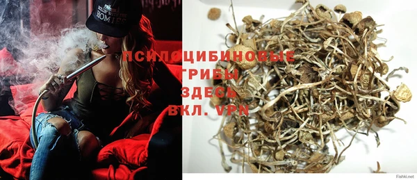 Альфа ПВП Горняк
