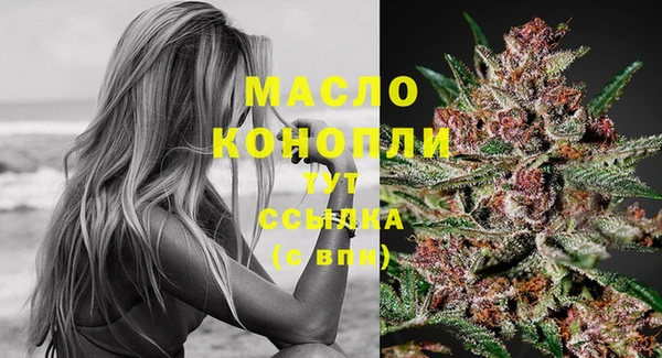 Альфа ПВП Горняк