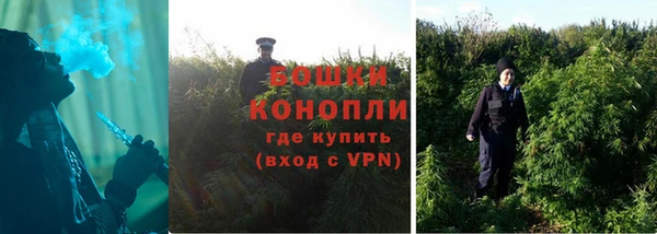 Альфа ПВП Горняк