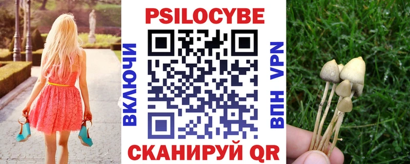 Псилоцибиновые грибы Psilocybine cubensis  Новосибирск 